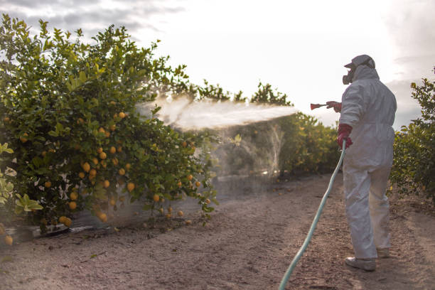 Insect Control in Mechanicsburg, PA