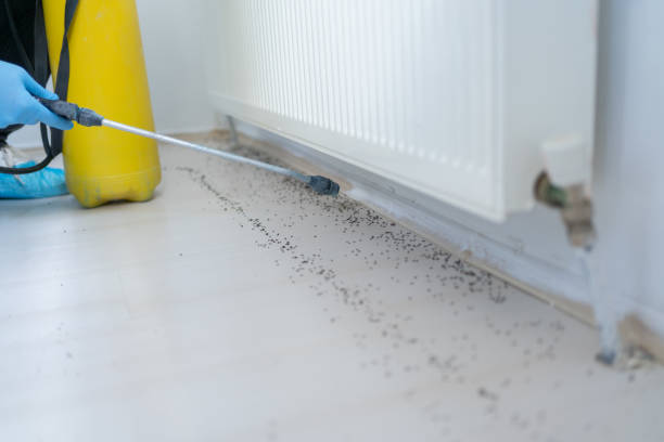 Best Affordable Pest Control Services  in Mechanicsburg, PA